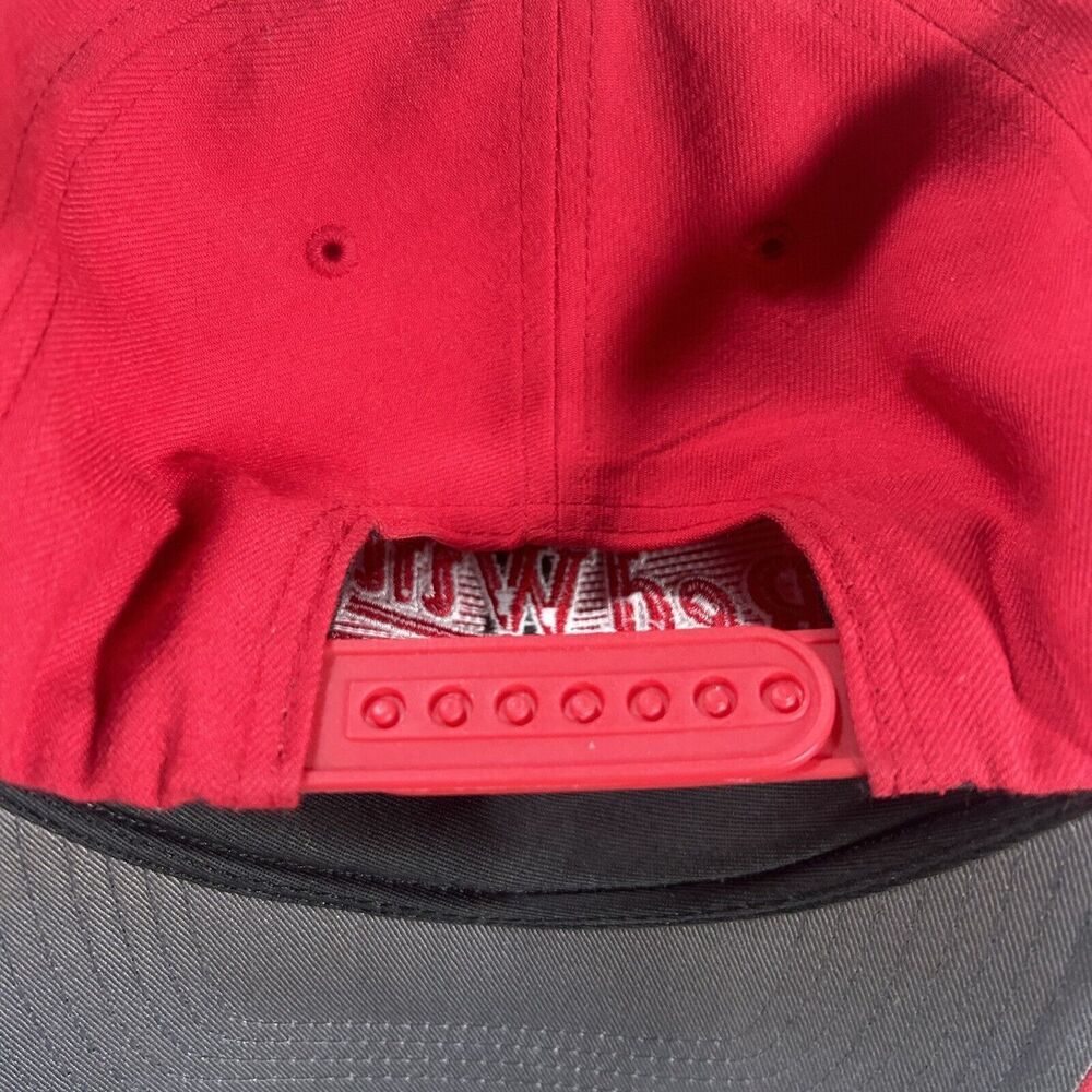 Vintage Detroit Red Wings Hat Snapback NHL Hockey Red Twins Enterprise Cap - Picture 2 of 9